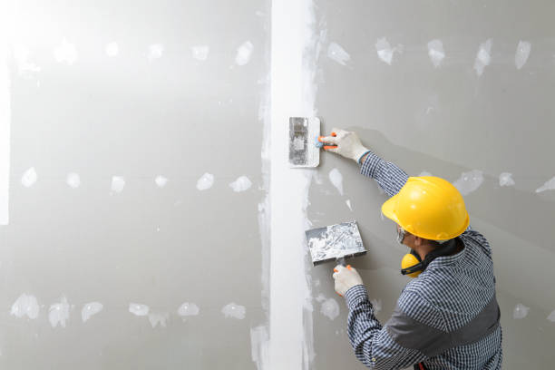 Reliable Park Hill, OK Mold Removal Solutions